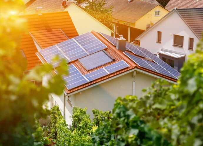 Solar panels on the tiled roof of the building in the sun. Top view through grape leaves. Selective focus.